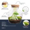 Terrarium Little Joe - Ø 20 Cm ↑ 22 Cm – Image 2