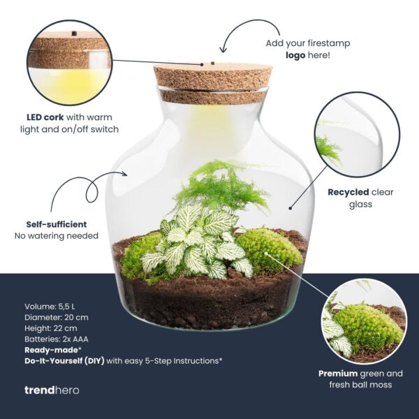 Terrarium Little Joe - Ø 20 Cm ↑ 22 Cm - Relatiegeschenk – Image 2