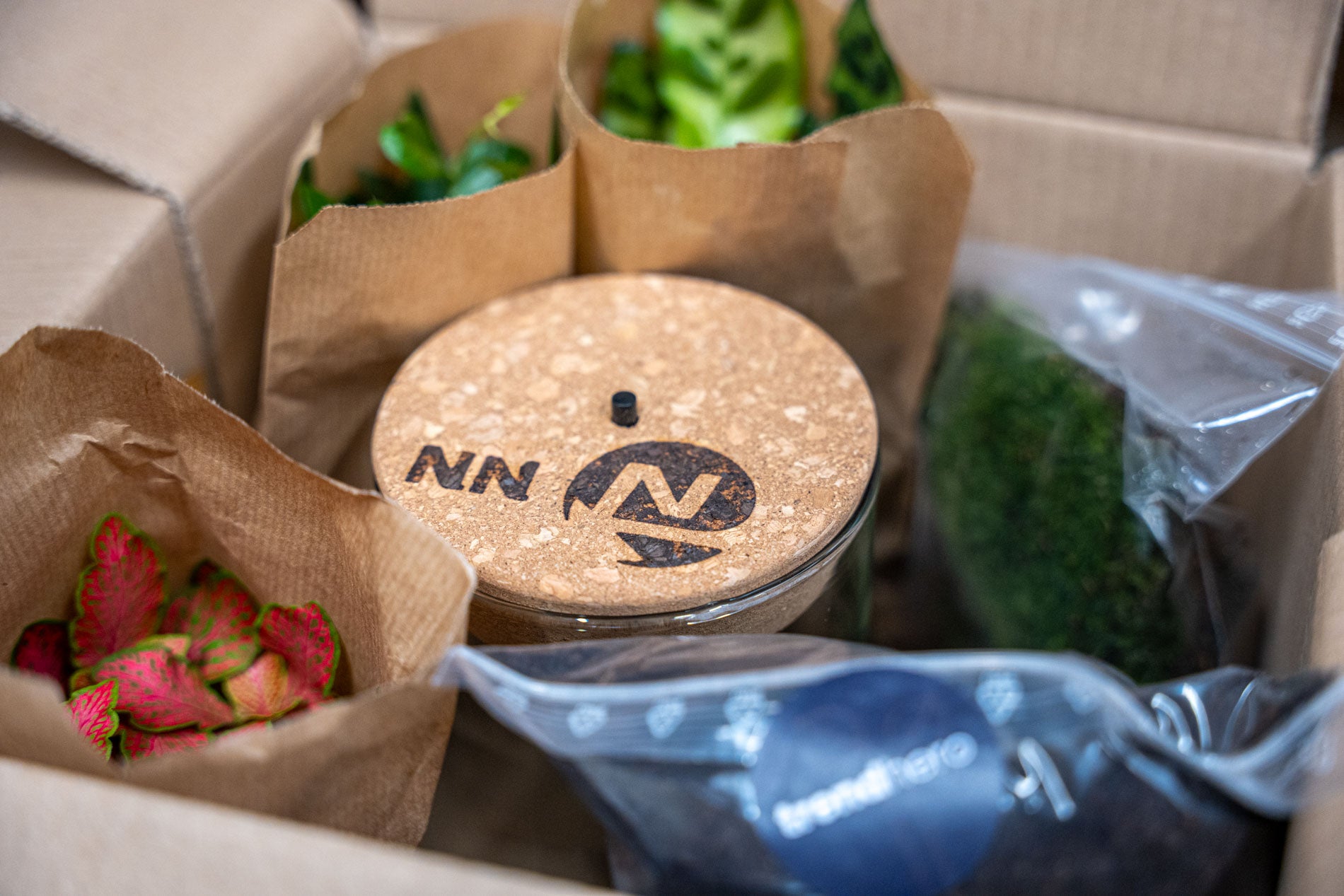 Terrarium Little Joe - Ø 20 Cm ↑ 22 Cm – Image 4