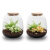 Terrarium Emma Mini - ↑ 20 Cm - Ø 19 Cm – Image 6