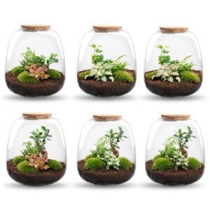 Emma - Terrarium With Light - Bottle Garden Diy Kit - Ø 23 Cm ↑ 25 Cm