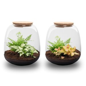 Emma Mini - Terrarium With Cork - Bottle Garden Diy Kit - Ø 19 Cm ↑ 20 Cm
