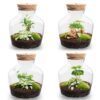 Little Joe - Terrarium With Light - Bottle Garden Diy Kit - Ø 20 Cm ↑ 22 Cm
