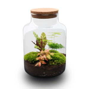 Milky - Terrarium - Bottle Garden Diy Kit - Ø 21 Cm ↑ 30 Cm