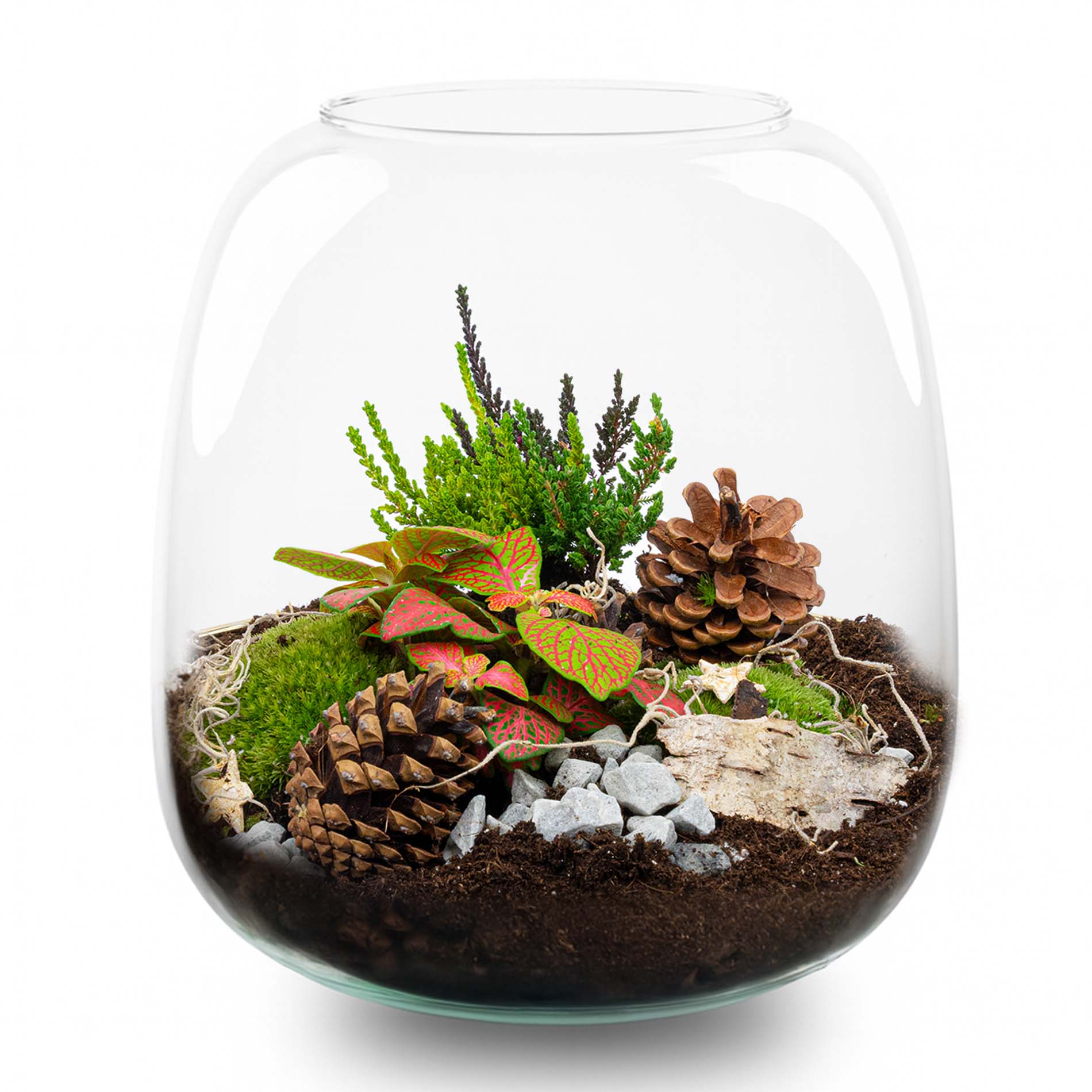 Tinsel Winter Terrarium – Bottle Garden Diy Kit – Ø 19 Cm ↑ 20 Cm