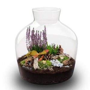 Mistle Winter & Christmas Terrarium - Bottle Garden Diy Kit - Ø 29 Cm ↑ 30