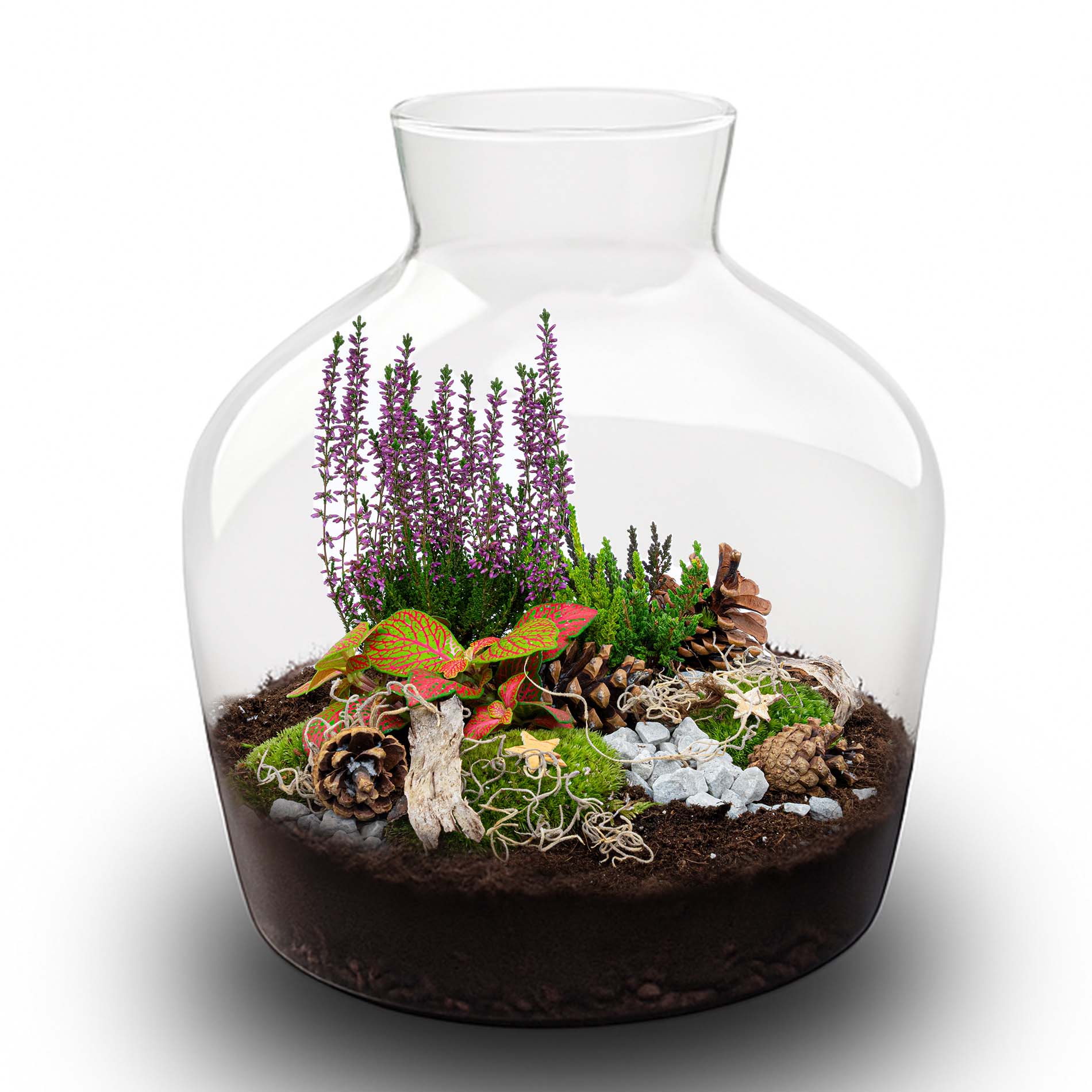 Mistle Winter & Christmas Terrarium – Bottle Garden Diy Kit – Ø 29 Cm ↑ 30