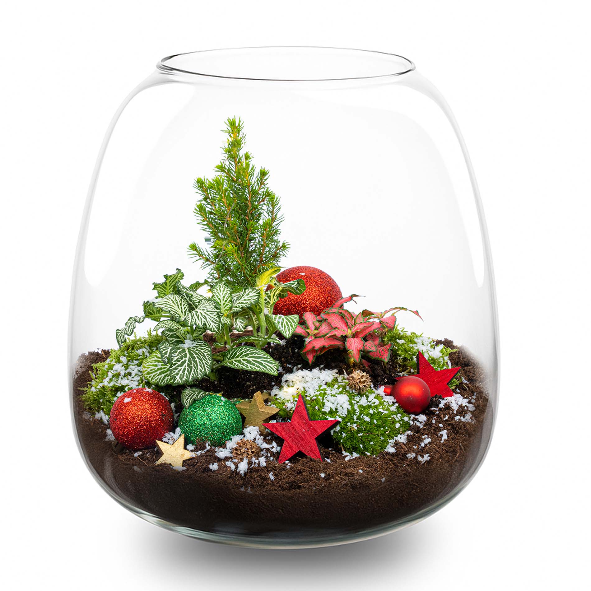 Kit Terrarium de Noël - Ø 23 Cm ↑ 25 Cm – Image 2