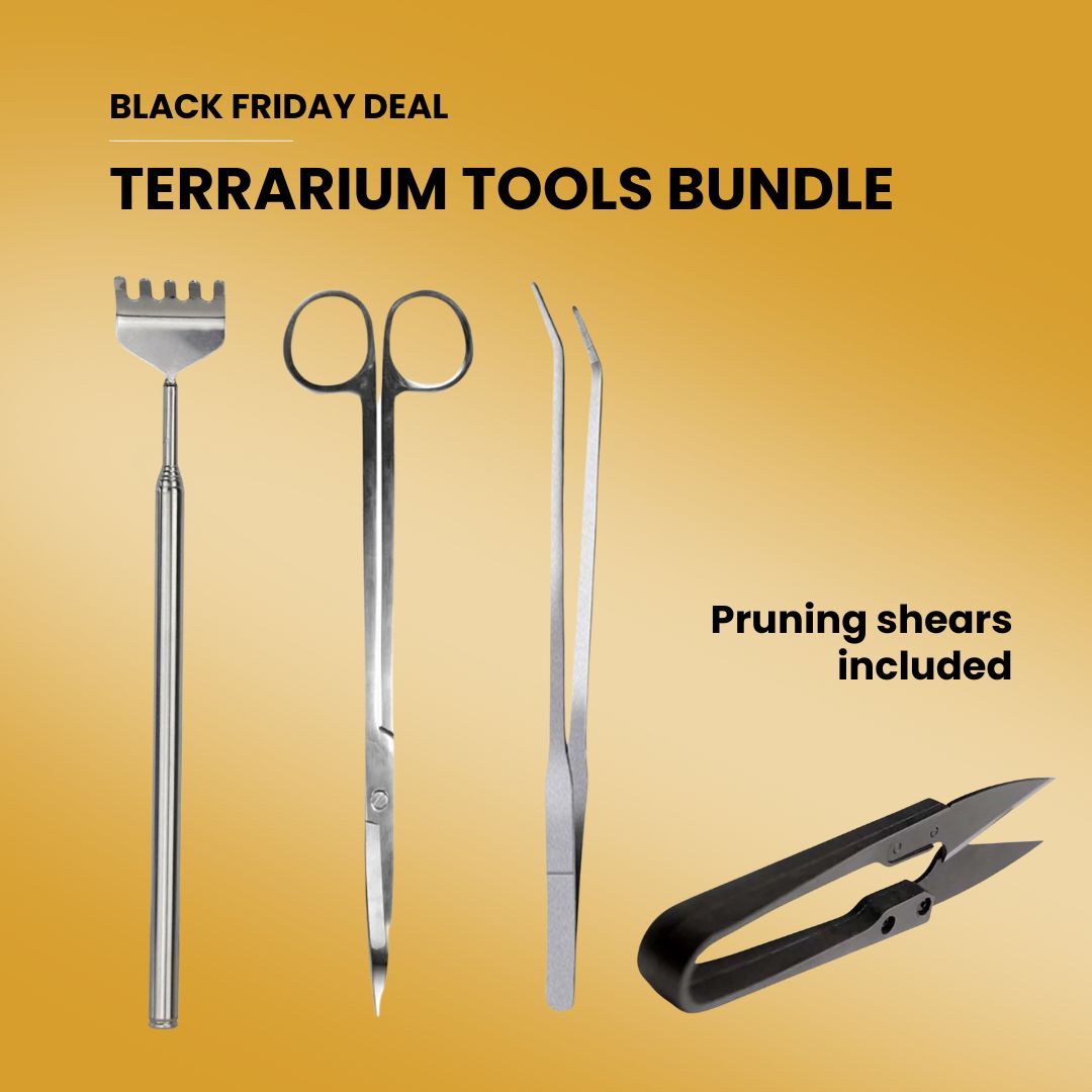 Terrarium Tools Bundle – Black Friday Deal