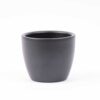 Mini Plant Set 6 - Includes 6X Pot Boule Anthracite – Image 3