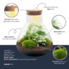 Terrarium Sam Xl - Ø 30 Cm ↑ 32 Cm - Relatiegeschenk – Image 2