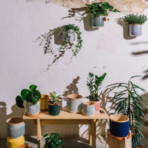 pots Casa Antlantica 