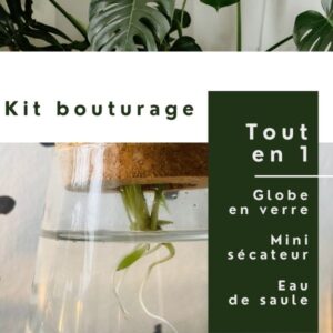 Kit de bouturage + ebook GRATUIT