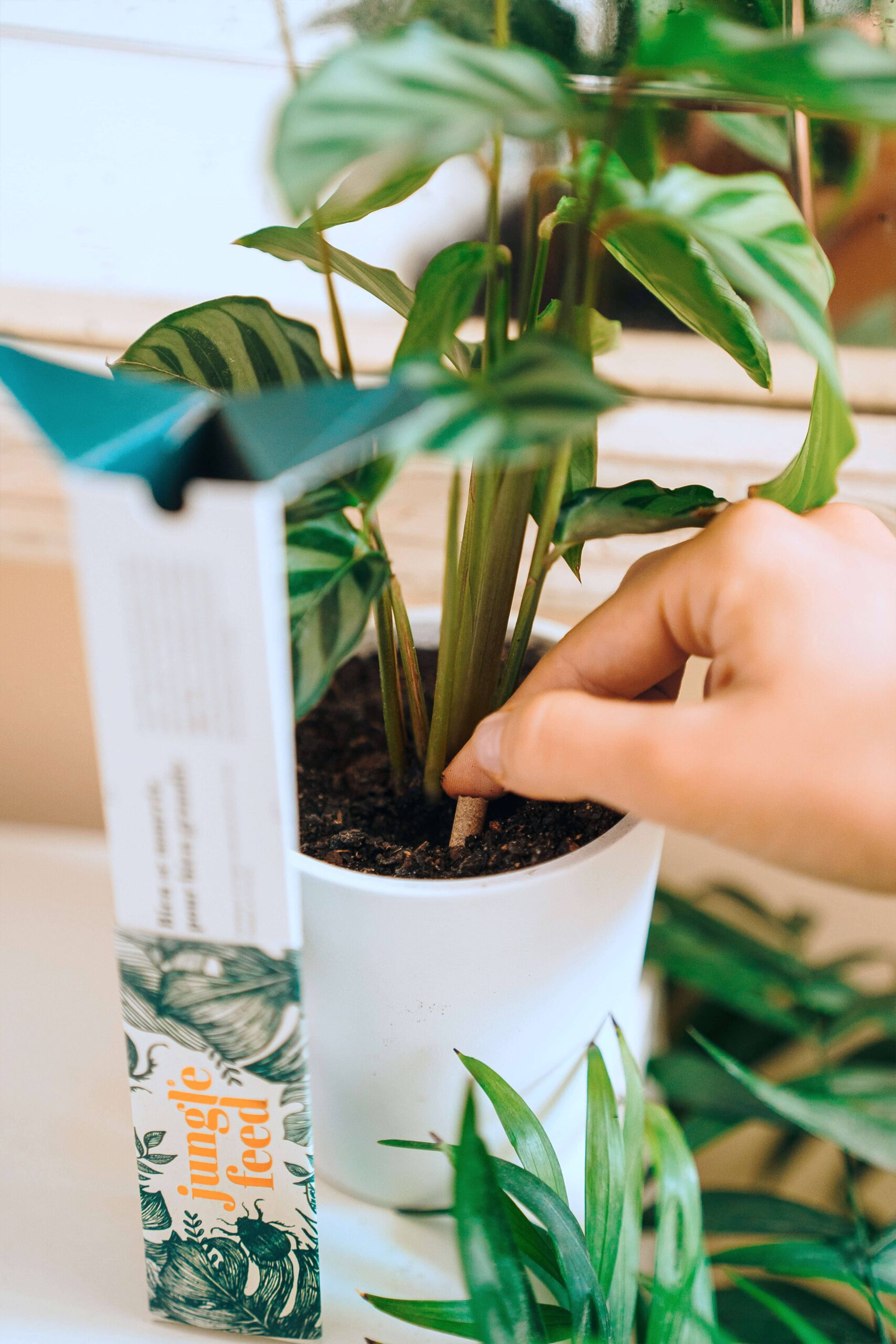 Engrais Naturel Jungle Stick – Jungle Feed – Image 2