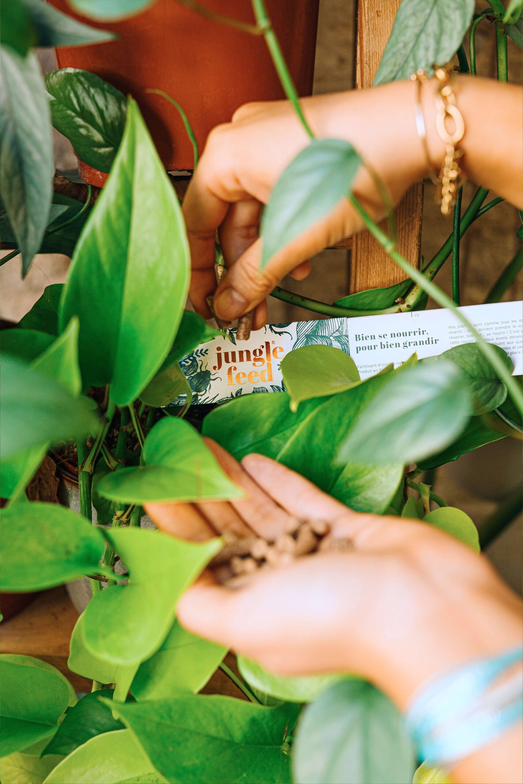 Engrais Naturel Jungle Stick – Jungle Feed – Image 3