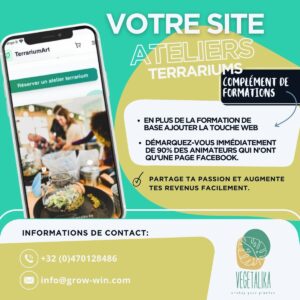 Option site web pour pack formation