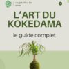 guide complet de création kokedama
