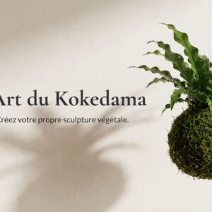 /guide-gratuit-kokedama-creer-boule-mousse-vegetale