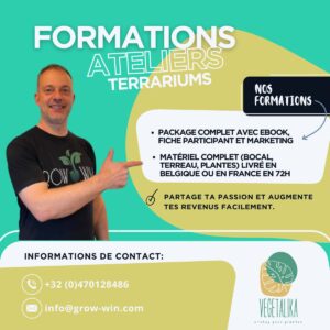 formation en atelier terrarium
