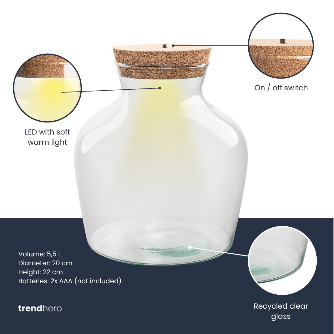 Terrarium Bottle 'Little Joe' - Incl. Led Cork - Closed Terrarium Ø 20 Cm ↑ 22 Cm – Image 3