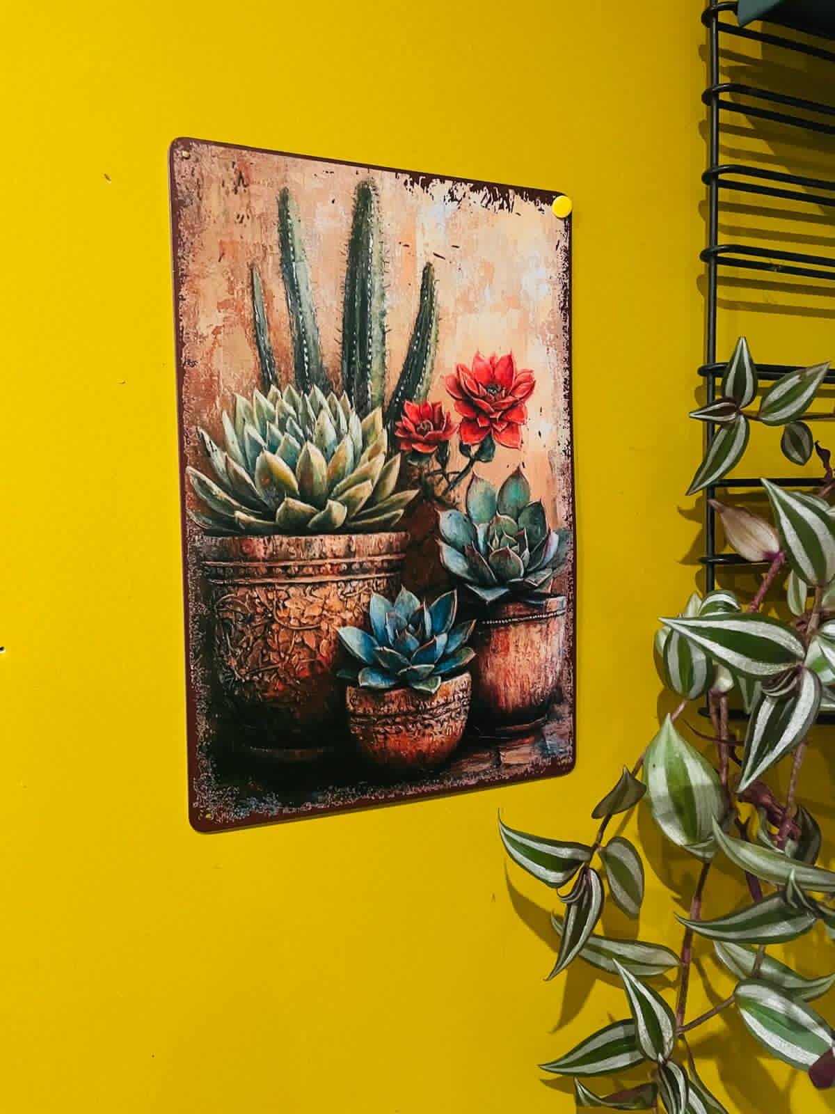 plaque métallique plantes grasses