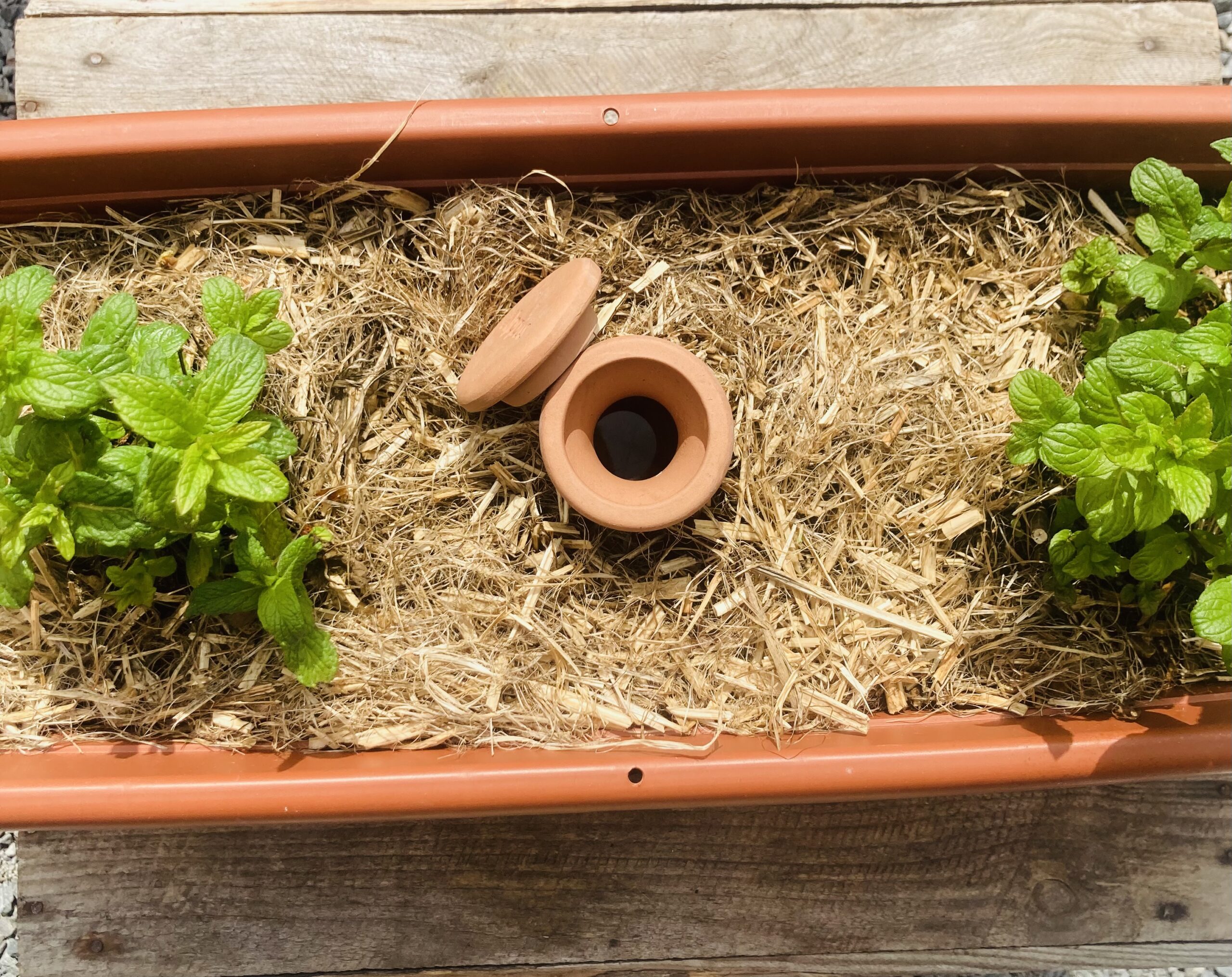 Ollas à enterrer 33cl terre cuite – Image 6