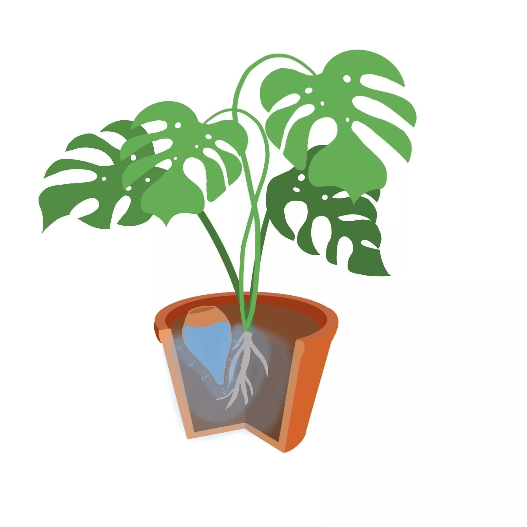 Ollas à enterrer 33cl terre cuite – Image 2