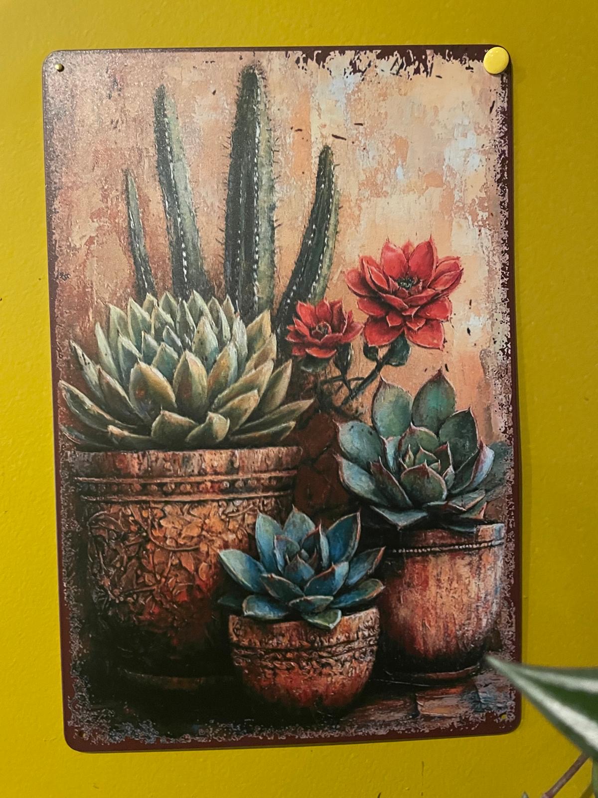 Plaque Cactus et Succulentes - Tôle 20x30cm – Image 2