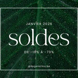 SOLDES