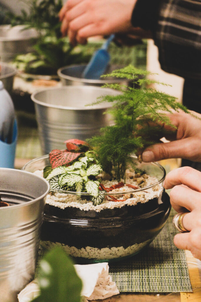 atelier-terrarium-belgique-groupe-creation-bocal