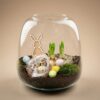 Terrarium ouvert Pâques 19cm avec narcisse tête à tête décorations printanières Emma Mini Vegetalika