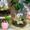 Terrarium Ouvert Pâques 19cm Narcisse DIY | Vegetalika – Image 2