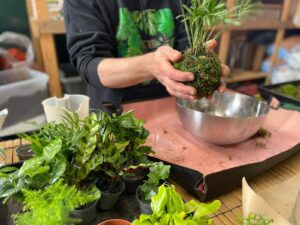  L’Art Japonais des Plantes Suspendues