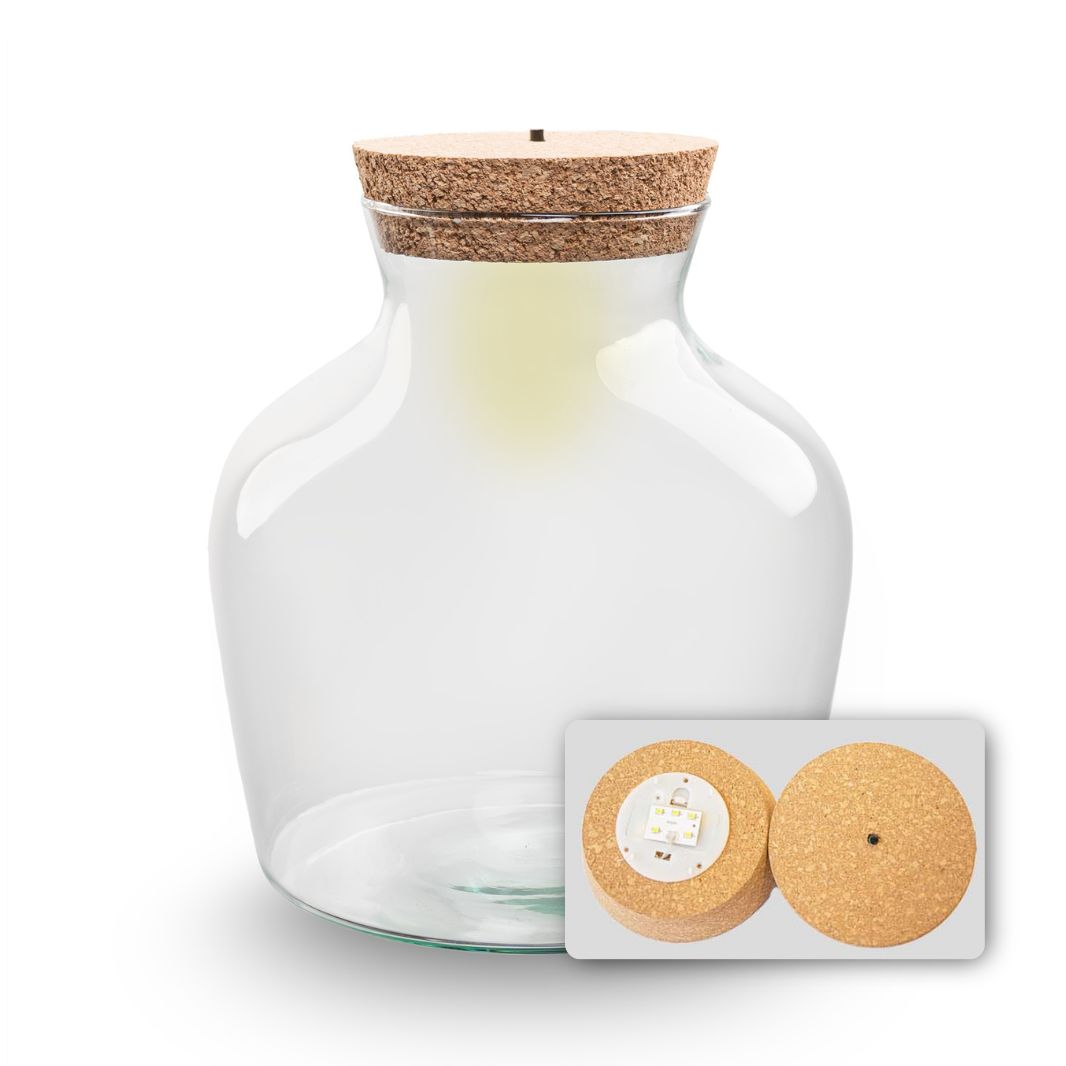 Terrarium Bottle 'Little Joe' - Incl. Led Cork - Closed Terrarium Ø 20 Cm ↑ 22 Cm