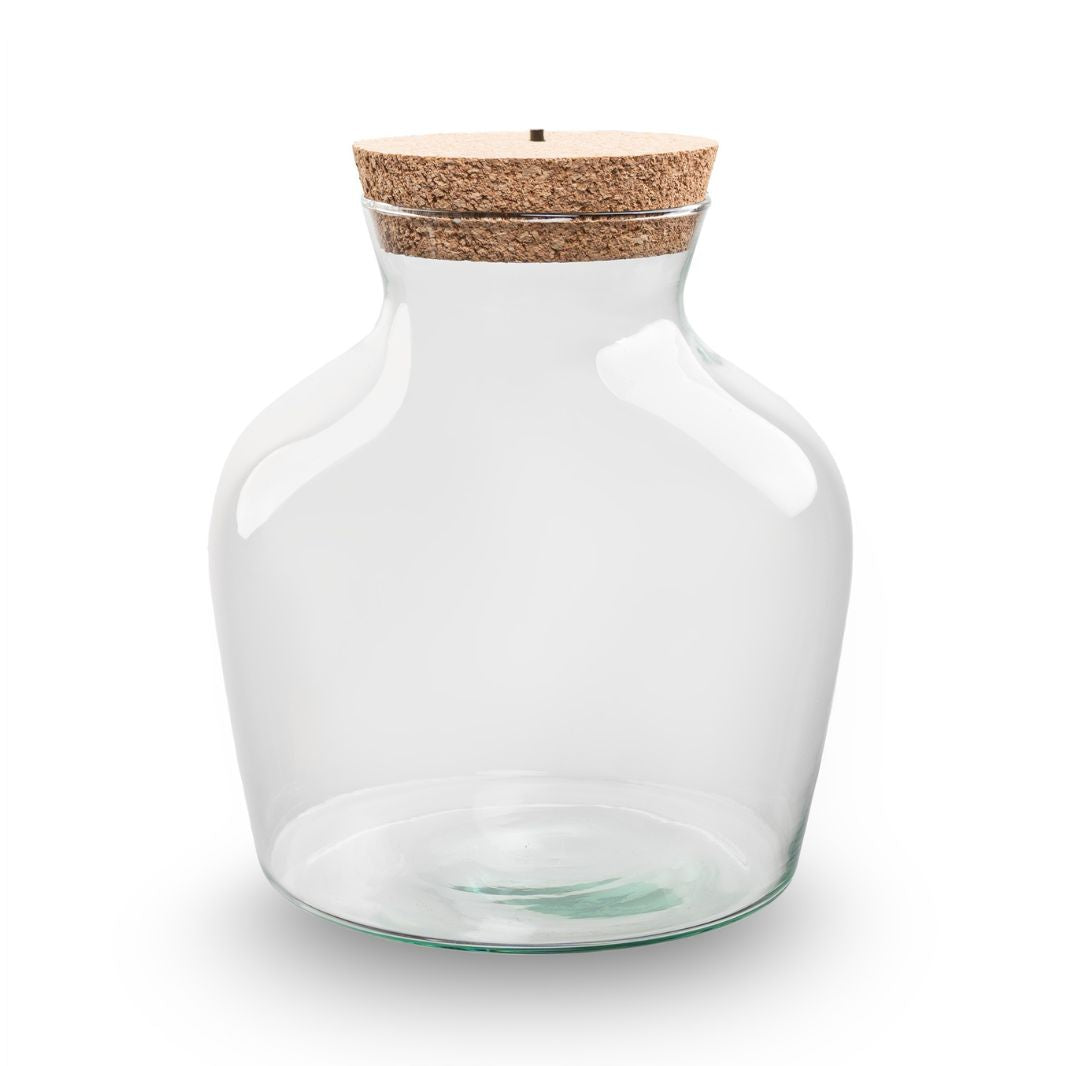 Terrarium Bottle 'Little Joe' - Incl. Led Cork - Closed Terrarium Ø 20 Cm ↑ 22 Cm – Image 2