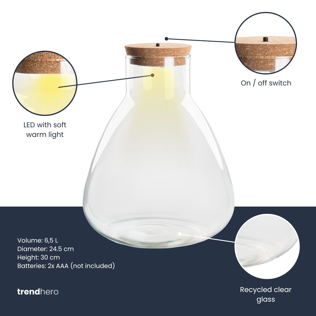 Terrarium Bottle 'Sam' - Incl. Led Cork - Closed Terrarium Ø 24.5 Cm ↑ 30 Cm – Image 4