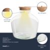 Terrarium Bottle 'Fat Joe' - Incl. Led Cork - Closed Terrarium Ø 29 Cm ↑ 30 Cm – Image 3
