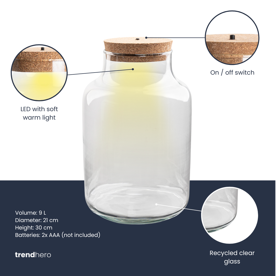 Terrarium Bottle 'Milky' With Led-Lighting - Closed Terrarium Ø 21 Cm ↑ 30 Cm – Image 2