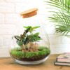 Terrarium Diy Kit ↑ 43 Cm Jungle Miniature Autonome – Image 2