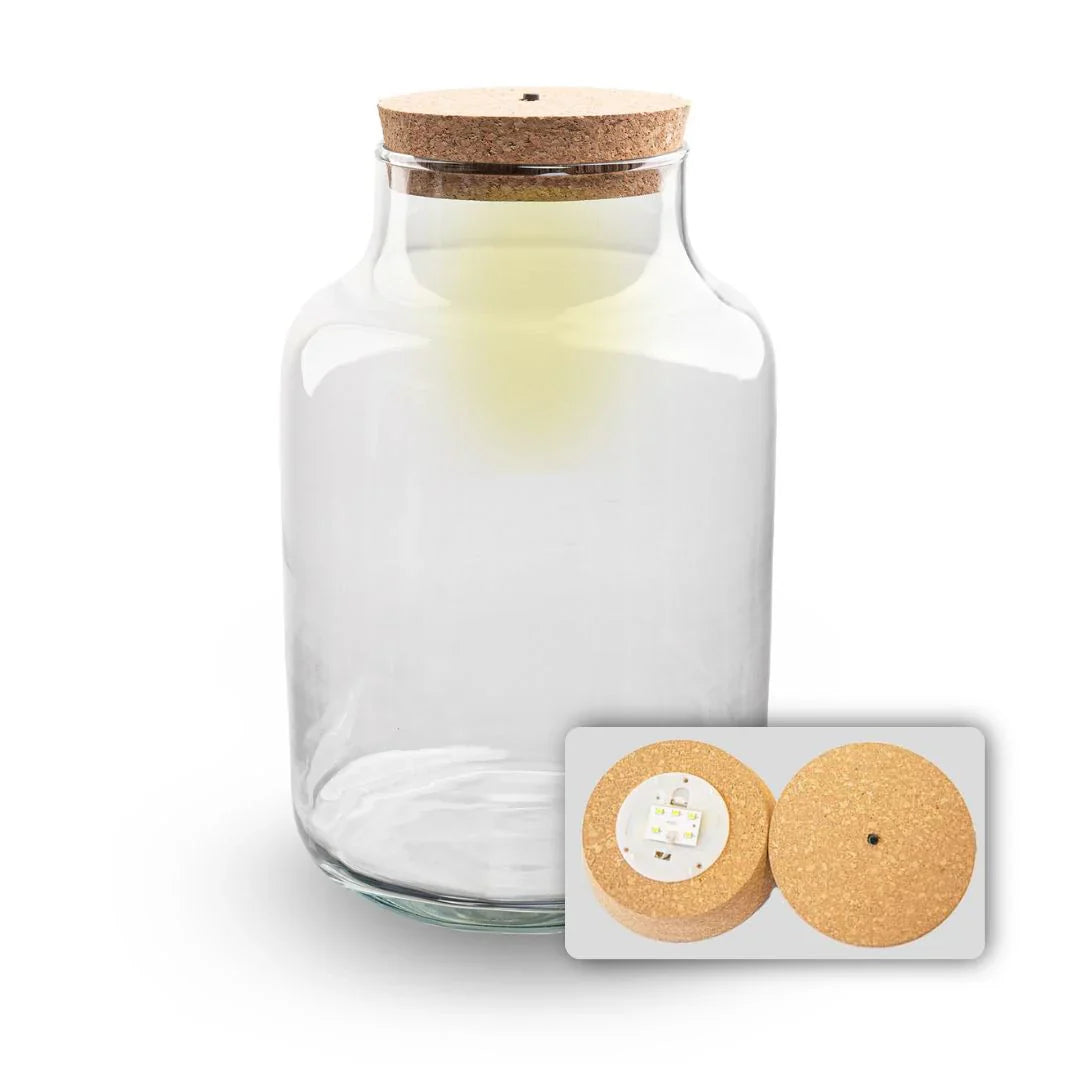 Terrarium Bottle 'Milky' With Led-Lighting - Closed Terrarium Ø 21 Cm ↑ 30 Cm – Image 4