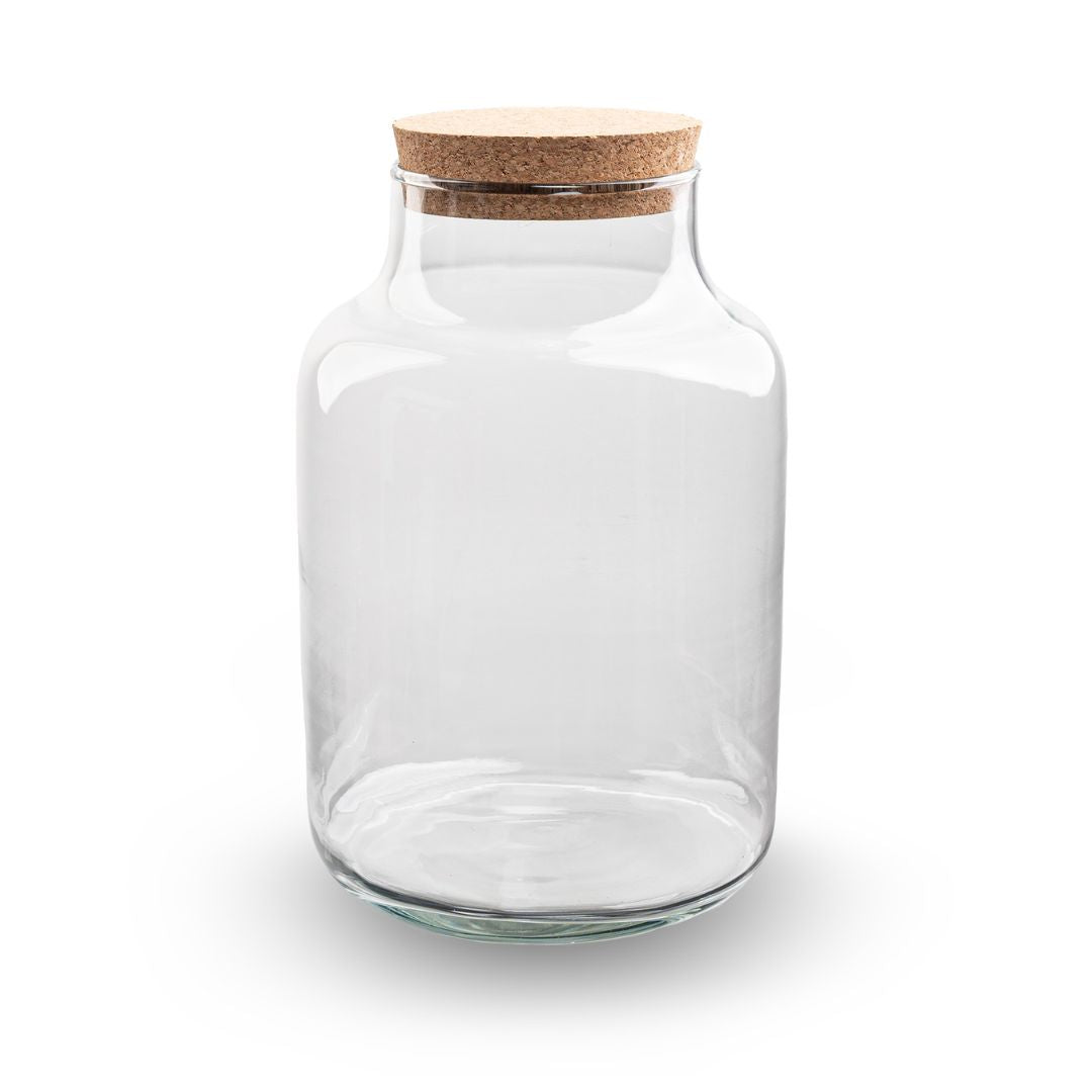 Terrarium Bottle 'Milky' With Led-Lighting - Closed Terrarium Ø 21 Cm ↑ 30 Cm – Image 3