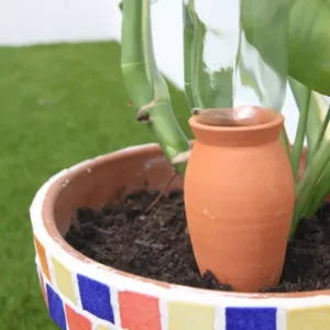 ollas d'irrigation poterie Lutton