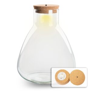 Terrarium Bottle 'Sam' - Incl. Led Cork - Closed Terrarium Ø 24.5 Cm ↑ 30 Cm