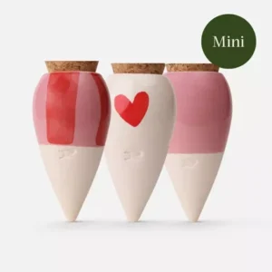 Coffret trio mini ollas Lovers cœur rose rayé terre cuite irrigation autonome économie eau plantes romantique cadeau