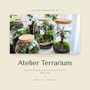 Carte Cadeau – Atelier Terrarium Vegetalika