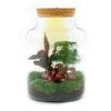 Milky - Terrarium - Bottle Garden Diy Kit - Ø 21 Cm ↑ 30 Cm – Image 7