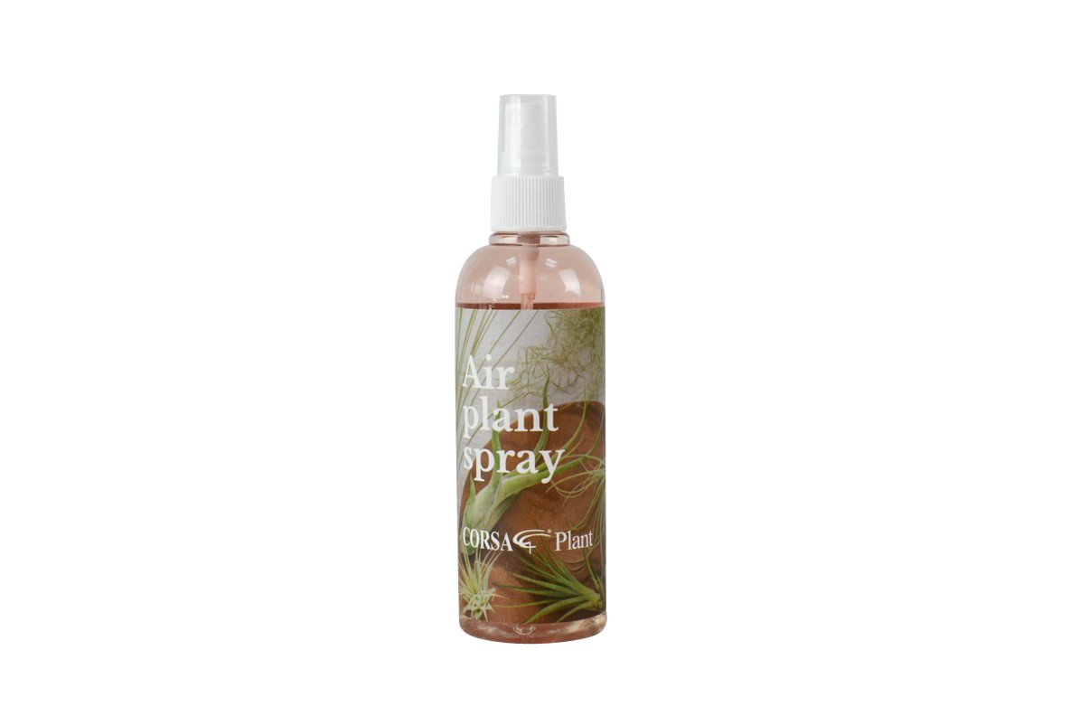 Spray tillandsia soin nutrition 150ml 5,99€. Eau + compléments alimentaires. Pulvérisation 1× semaine. Croissance optimale plantes aériennes. Vegetalika.