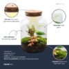 Milky - Terrarium - Bottle Garden Diy Kit - Ø 21 Cm ↑ 30 Cm – Image 3