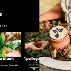 kit d'entretien pour plants d'intérieur