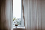 curtains, decoration, indoors, plant, nature, potted plant, window, minimalist, minimalistic, interior decoration, indoor plant